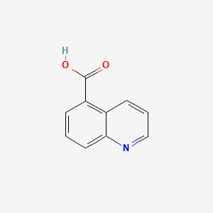 Quinoline -5- asam karboksilat 丨 cas 7250-53-5