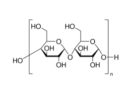 Pati pati / tepung jagung 丨 cas 9005-25-8
